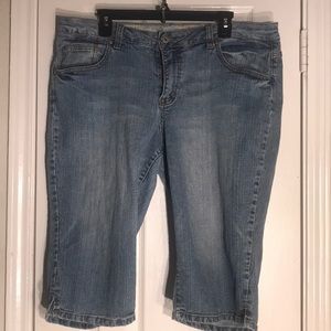 Cato Blue Jean Shorts Size 18W